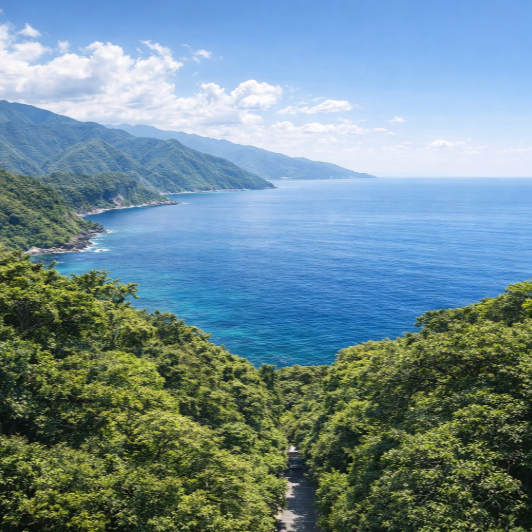旅館 送陽邸 屋久島の潮風と夕陽に包まれて。 西海岸に位置する