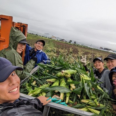 【🌽8月9月の野菜収穫のお手伝い募集🎃！！※短期でも可です※採用人数に限りあり】