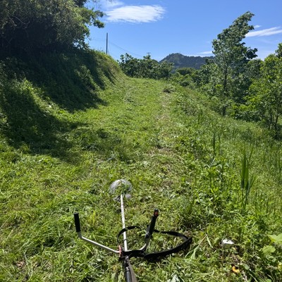 枯れた竹の片付け・草刈り　作業着レンタルあり1泊で身軽におてつたび