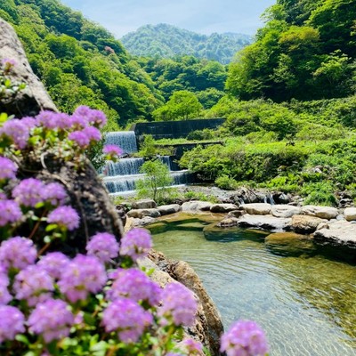 GWは新緑の美しい初夏の富山に来られ〜！秘湯の宿『記念日の宿』でおてつだいしませんか？お客様を笑顔でもてなしてくださる方大募集🌸