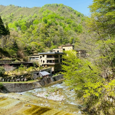 あさひ舟川『春の四重奏』で盛り上がる💐春の富山に来られ〜！秘湯の宿『記念日の宿』でおてつだいしませんか？お客様を笑顔でもてなしてくださる方大募集🌸