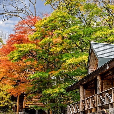 日本秘湯を守る会｜紅葉に染まる奥鬼怒温泉郷へ🍁 “関東最後の秘湯”で秋の非日常を味わうおてつたび♨【東武鉄道コラボ】