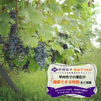 初夏の勝沼でぶどうの傘かけ作業。『地産自醸のワイン』を作る東夢ワイナリーで、一緒にお手伝いしてくれませんか？
