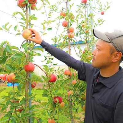 農業を将来の選択肢に。非農家から農業の道へ進んだ社員から学ぶ！リアルな生産現場を知れる実践農業インターン🍎