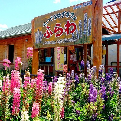 富良野・山部の『ちいさなログカフェ ふらわ』｜自家栽培の野菜をメインにした身体にやさしいお料理と、繁忙期を支えるカフェレストランのおてつたび