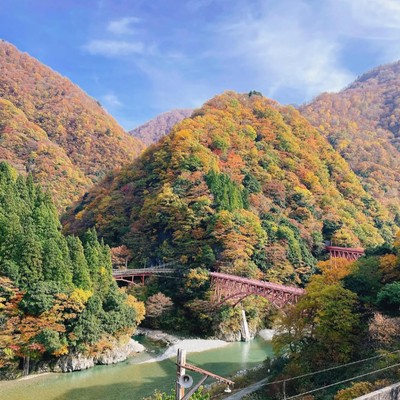 待ちわびた秋、黒部渓谷の奥へ。能登半島地震以来の全線運行再開を迎えるトロッコ駅で旅人を迎えるおてつたび🍁