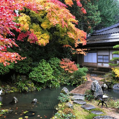 【紅葉が綺麗な世界遺産・高野山で自分を見つめて過ごしませんか】複数の宿坊寺院でお手伝いをしながら高野山での暮らしが体験できます！1200年続く天空都市の中での「おてつたび」はいかがですか？