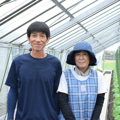 【3日間🍈】袋井といえば！クラウンメロン🍈なかなか見ることができないメロンの生育過程に触れるおてつたび♪ 農業×地域交流｜キャンピングカーで過ごす3日間（袋井市農業PJ2026）