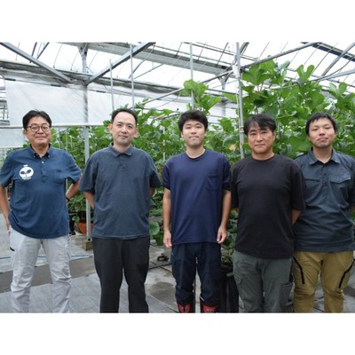 【3日間🍅🍈】農業×ITの現場を体験！トマト・メロン栽培のおてつたび♪ 農業×地域交流｜キャンピングカーで過ごす3日間（袋井市農業PJ2026）