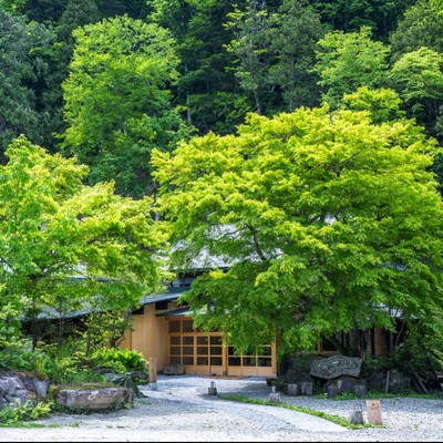 【東武鉄道コラボ】日本秘湯を守る会｜”関東最後の秘湯”と称される「奥鬼怒の秘湯」でのおてつたび♨標高1300m日光国立公園の奥鬼怒温泉郷で非日常を味わいませんか？新緑の大自然🍃