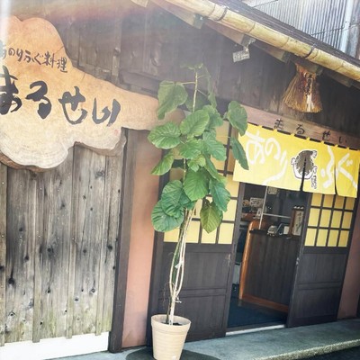【通いおてつたび】11月は志摩・安乗へ🐡 天然とらふぐ専門店で接客のおてつたび