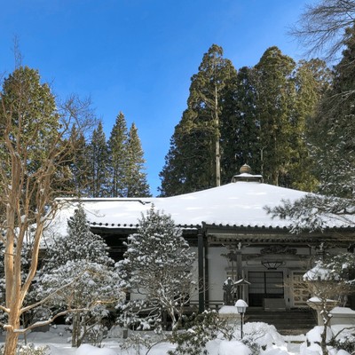 【冬の世界遺産・高野山で自分を見つめて過ごしませんか】複数の宿坊寺院でお手伝いをしながら高野山での暮らしが体験できます！1200年続く天空都市の中での「おてつたび」はいかがですか？