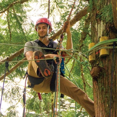 奈良の秘境・十津川村 | アウトドア好き歓迎。ツリーハウス・キャンプ施設の運営に関わる、身体を動かす「空中の村」でのおてつたび。