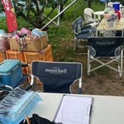 観光さくらんぼ園　収穫と箱詰め作業など募集します！