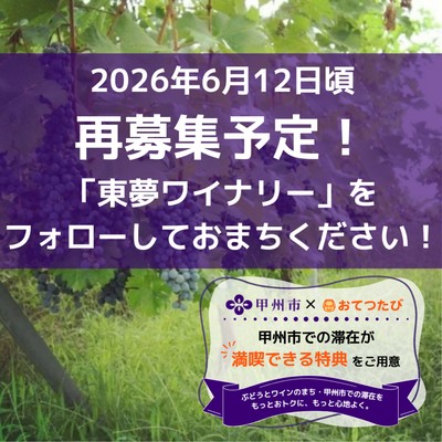 初夏の勝沼でぶどうの傘かけ作業。『地産自醸のワイン』を作る東夢ワイナリーで、一緒にお手伝いしてくれませんか？