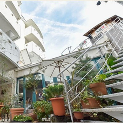 土地の恵みを包む。伊豆の手作り弁当づくりのおてつたび