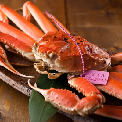 蟹で賑わう🦀日本海 竹野海岸を望むよどや／海の音で、お客様のおもてなしのお手伝いをお願いします◎