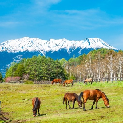 木曽郡木曽町