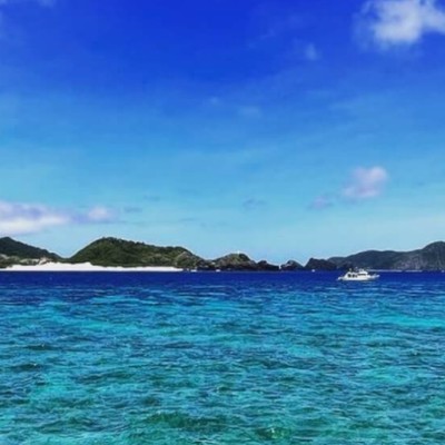 【沖縄・座間味島】ウミガメに会える海まで徒歩3分！島人（しまんちゅ）一家が営むペンションでのお手伝い【4月中旬～／延長大歓迎】自動車免許(AT可)お持ちの方限定