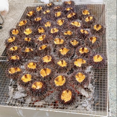 海産物の豊富な星の町で、年に一度のビッグイベント「ウニまつり」のお手伝い