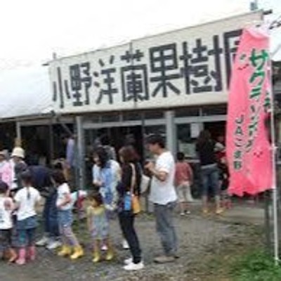 【南アルプスファームフィールドトリップ】桃ぶどう生産量日本一の山梨県にある南アルプス市エリアで果樹作業や農産加工など食にまつわるおてつだびしませんか！？