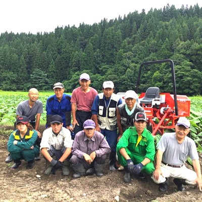 【旅費補助付き】雪国の冬本番だけど、自慢の「さといも」がまだまだまだまだあります！里芋の選別作業・時々除雪のおてつたび