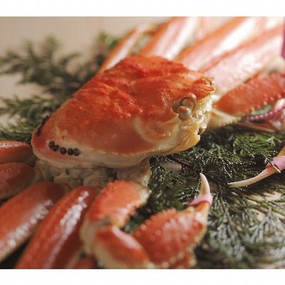 蟹踊る🦀松葉カニ解禁で賑わう「兵庫県・香住」の温泉宿で、お客様のおもてなしのお手伝いをお願いします!!香住は日本海の海の幸がふんだんに漁獲できる港町。年に一番の繁忙期を一緒に駆け抜けてください🏃