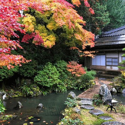 追加募集！【秋の世界遺産・高野山で自分を見つめて過ごしませんか】1200年続く天空都市の中での「おてつたび」！宿坊寺院やお土産店舗などでのお手伝いをしながら高野山での暮らしが体験できます