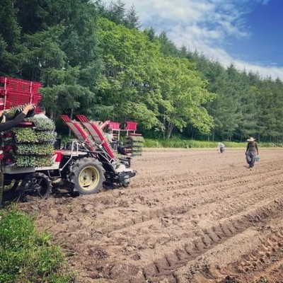北海道の住み込み特集