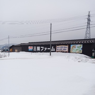 雪国・秋田で旬を収穫！三関せりの収穫作業をおてつたび