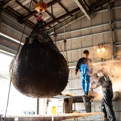 渦潮が育てた淡路島わかめ｜塩蔵加工のおてつたび。一年で最も忙しい3月、みなさまの手をお貸しください！
