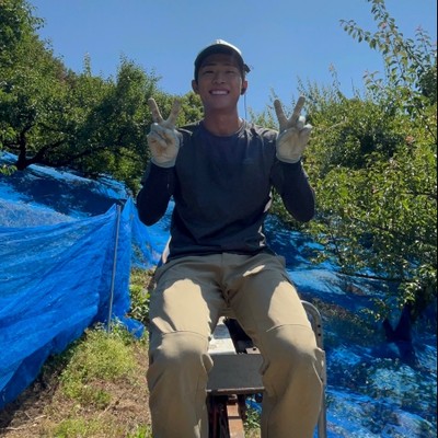 【和歌山・紀州南高梅】6/10〜6/24限定🌿梅収穫のおてつたび（昼食付きです！）