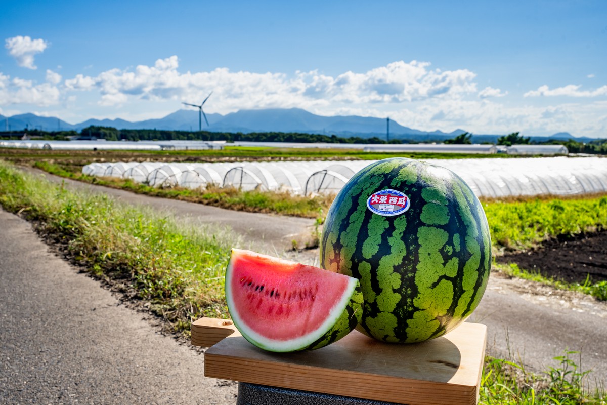 東伯郡北栄町