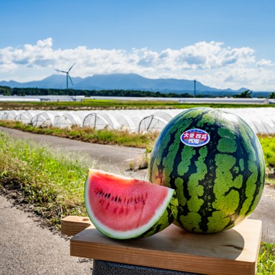 東伯郡北栄町