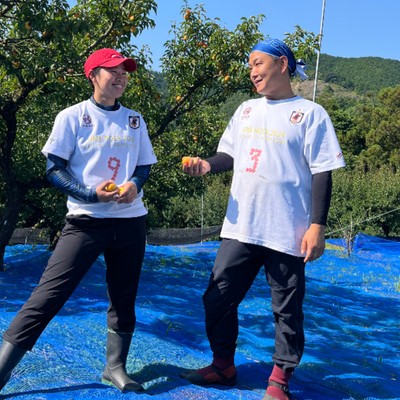 和歌山の梅畑で、梅文化の収穫を一緒に。｜白浜・田辺