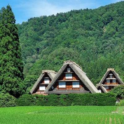 後期【春の世界遺産白川郷】築300年の合掌造りでおてつたび♪