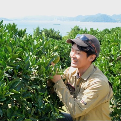 11月日程🍋レモン生産量日本一の瀬戸田でレモンや柑橘を収穫しませんか🍊