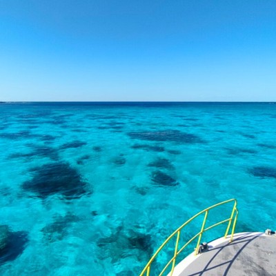 【沖縄・西表島】世界自然遺産の海が目の前！ダイビングショップ併設の絶景リゾートホテルを支えるホテル業務全般のおてつたび
