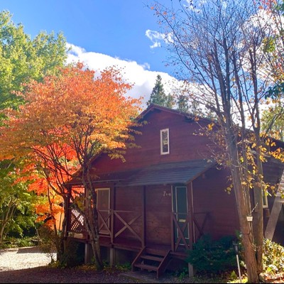 ゴールデンレトリバーのいるコテージ！群馬で避暑地でおてつたび！