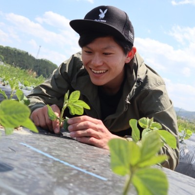 丹波篠山の名産「黒枝豆」畑での植え付け作業！！