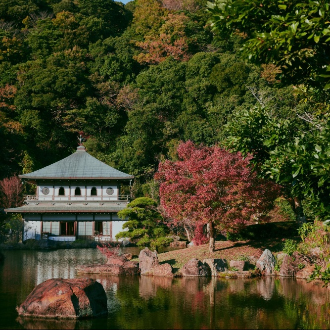 薗田農園 【鹿児島🧑🏻‍🌾12日間】かごしまブランド農産物認定『金柑春