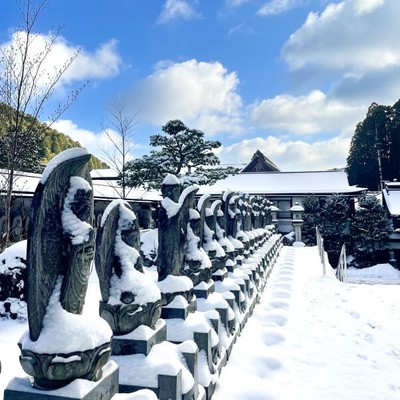 追加募集！【雪景色の世界遺産・高野山で自分を見つめて過ごしませんか】1200年続く天空都市の中での「おてつたび」！宿坊寺院やお土産店舗などでのお手伝いをしながら高野山での暮らしが体験できます