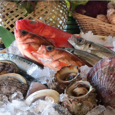 九十九里の料理宿で海の恵みを届ける「調理アシスタント」のおてつたび。目の前は国際基準をクリアした美しいビーチ🌊休日はサーフィンやドライブ、ゆっくりと海を見て過ごす時間も◎