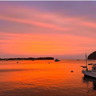 Calmbace西伊豆で始める、地域とつながる海辺の暮らし