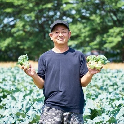 石川県・加賀の大地で育つブロッコリー収穫のおてつたび。食べてくれる人が驚くほどの美味しさを目指して。山代温泉近くの農園で一緒に作業をしてくれる方を募集します。