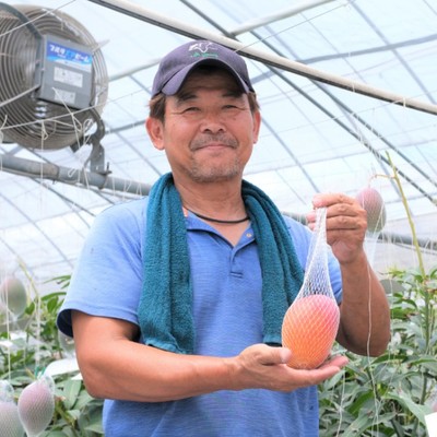 運転免許をお持ちの方AT可・現地で交通手段を確保できる方【来たれ！次代を担うマンゴー農家！まずは知ってほしい】宮崎県を代表する完熟マンゴーのお手伝い。就農や地方移住に興味のある方へ、豊かな自然と歴史が息づく街、小林市で５日間のおてつたび