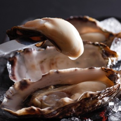 牡蠣の宝庫でおてつたび🦪🐟出勤日まかない2食付き🍚アットホームな志摩の旅館で全般業務✨