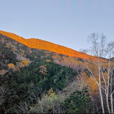 【南アルプス】標高2,130mの山小屋で特別な夏を！仙水小屋でおてつたび🌲 針葉樹林に囲まれた静寂の中で