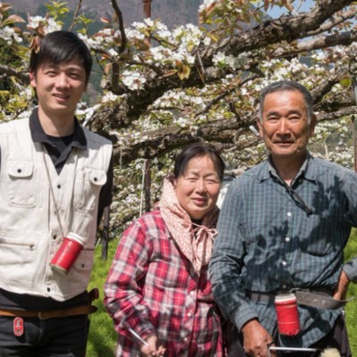 鳥取で３代続く梨農家で梨の収穫＆出荷作業