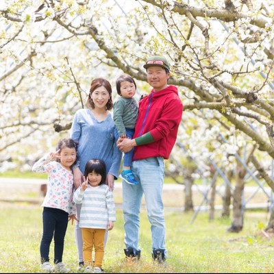【長期2週間】旬のフルーツ！🍒さくらんぼの収穫・出荷作業